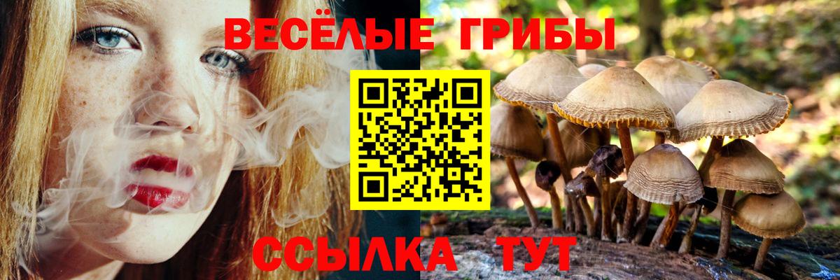 Псилоцибиновые грибы ЛСД  Вход с VPN  Пушкино 